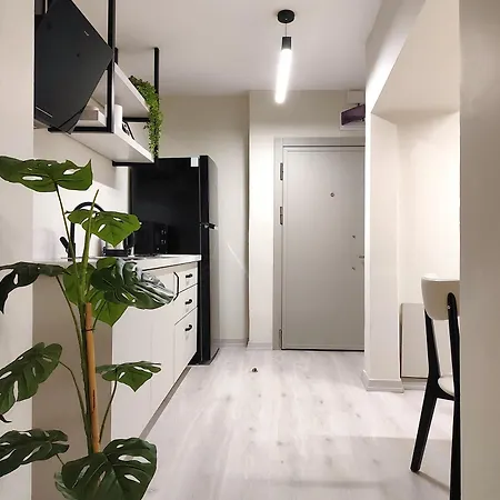 Flex Ortakoy Apartment Istanbul Exterior photo