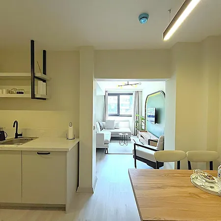 Flex Ortakoy Apartment Istanbul Exterior photo