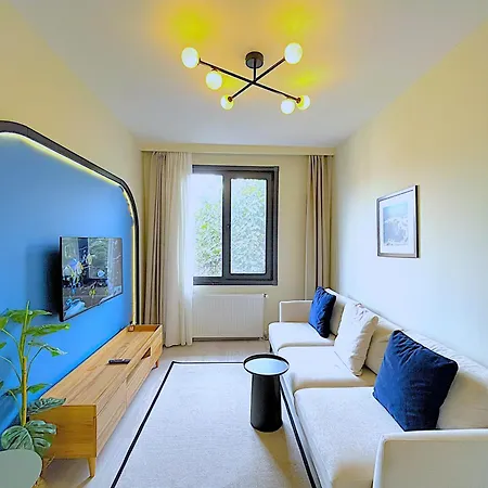 Flex Ortakoy Apartment Istanbul Exterior photo